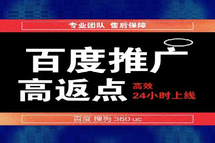 案例解读：网络推广与竞价策略