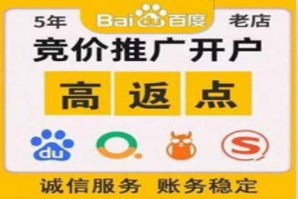 SEM推广案例：提升网站转化率策略解析